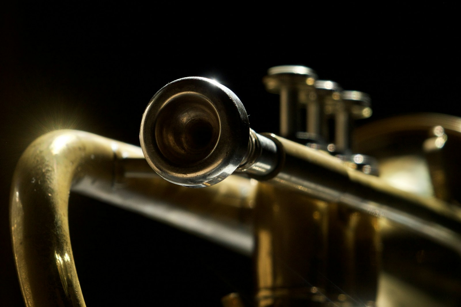 Brass family instruments